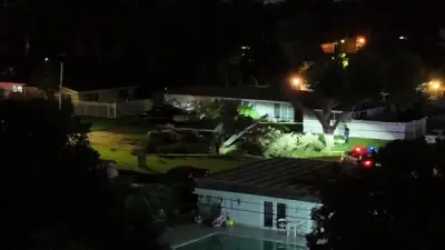 Small plane crash prompts road closure in Pembroke Pines; 4 transported for minor injuries