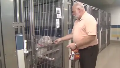 Miami-Dade officials remind pet owners to keep their furry friends safe from the heat as summer begins