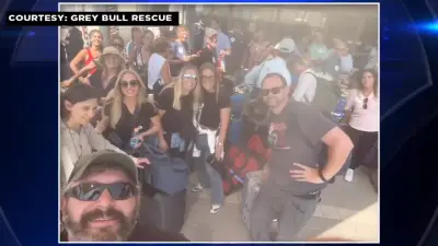 Jewish organizations work to bring back stranded Americans in Israel amid war
