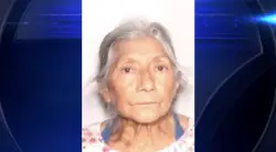Search underway for missing elderly woman in Plantation
