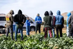 Fear of ICE raids is making heat intolerable for Southern California families